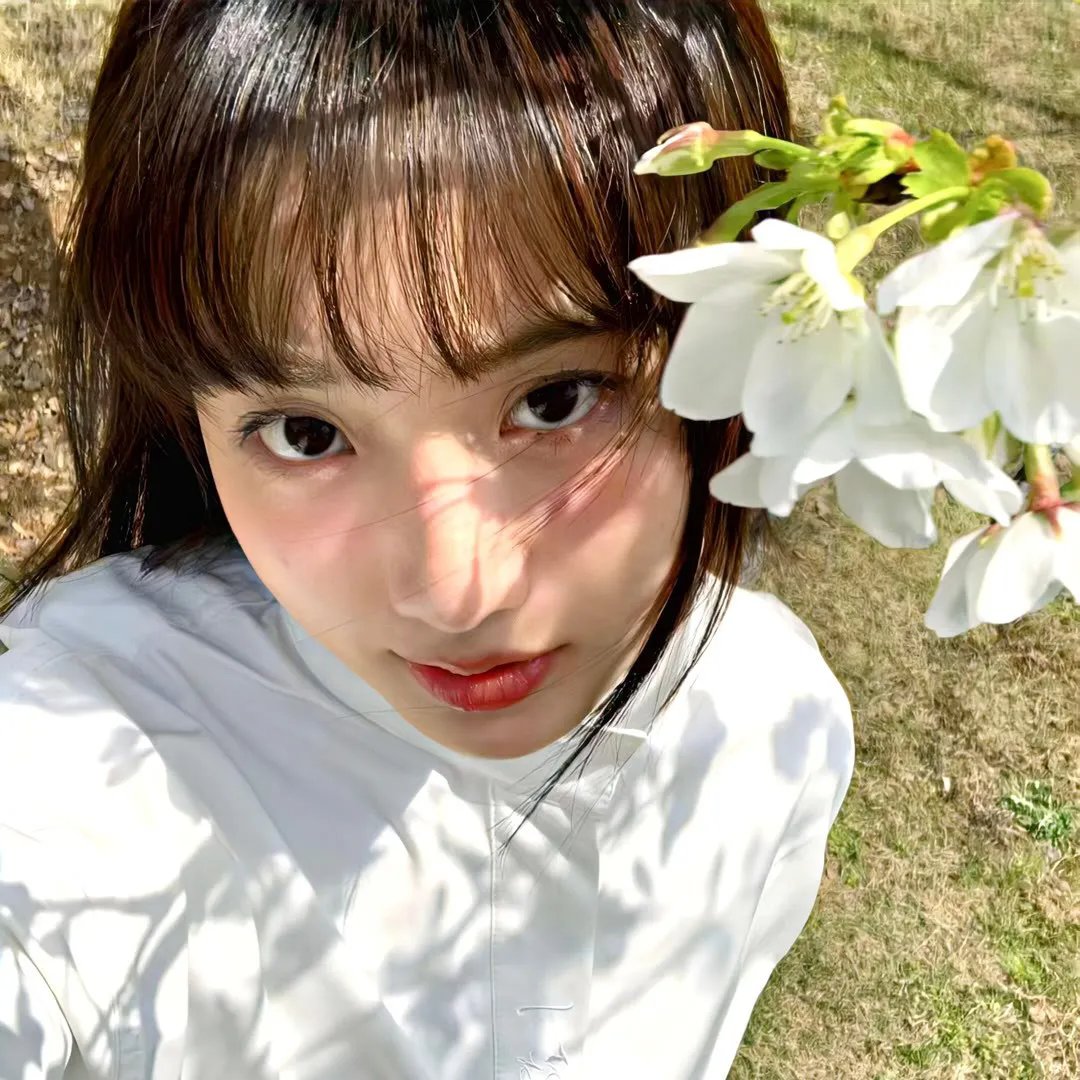完美谋杀案