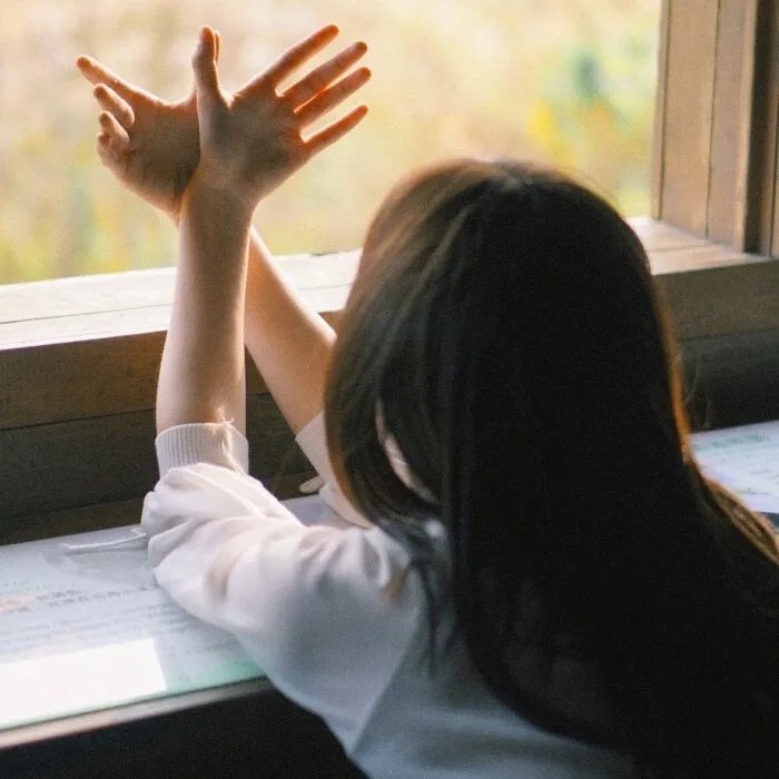 我们若只如初见